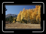 HopeValley 085 * 1728 x 1152 * (1.71MB)